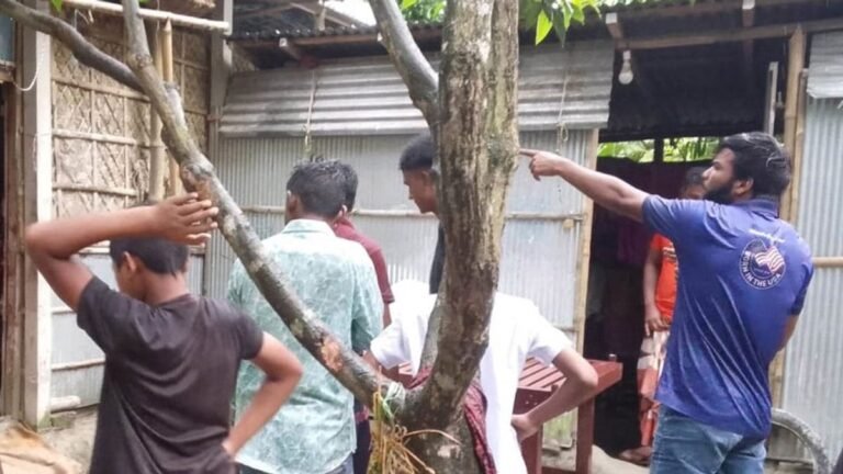 স্কুল থেকে ফিরেই গোয়ালঘরে, গরুর গুঁতায় শিক্ষিকার মৃত্যু