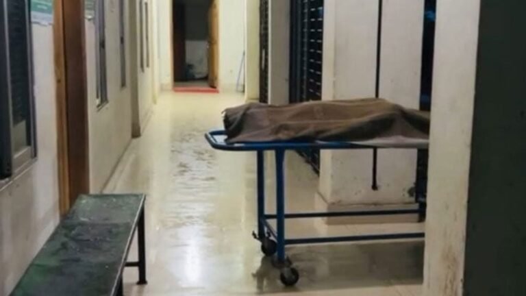 লুডু খেলার চালে ভুল হচ্ছে বলায় মারধর, যুবকের মৃত্যু