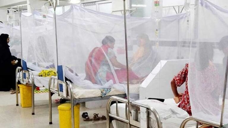 ডেঙ্গুতে আরও ৬ মৃত্যু, হাসপাতালে ভর্তি ১৬৫৫ জন