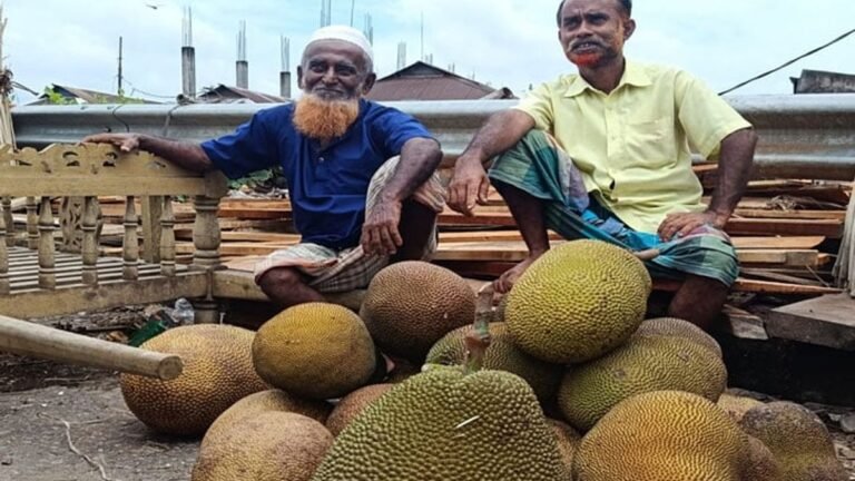 ১০ টাকার কাঁঠাল এখন এক হাজার টাকা