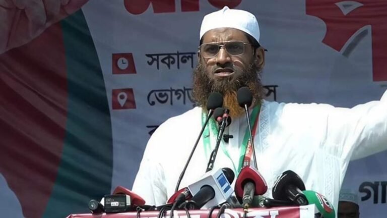 গণভোটের রায় বাস্তবায়ন করেই সরকারকে ক্ষমতা ছাড়তে হবে: মামুনুল হক