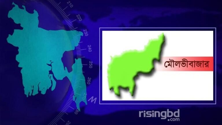 মৌলভীবাজারে হত্যা মামলায় দুই সহোদরের মৃত্যুদণ্ড