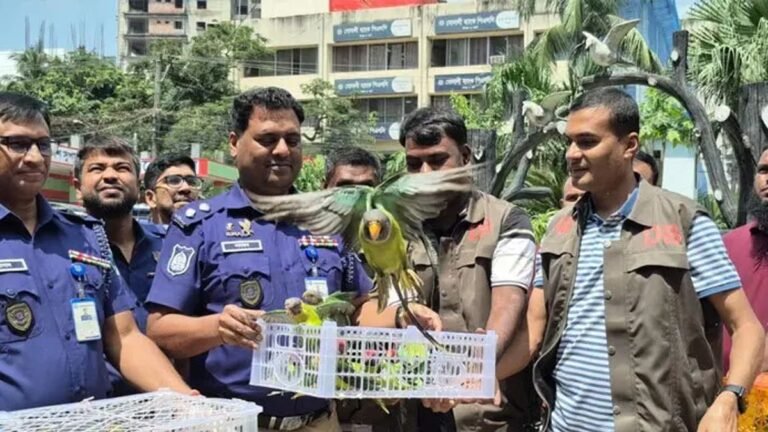 যাত্রীবাহী বাস থেকে শতাধিক টিয়া উদ্ধার, ওড়ানো হলো মুক্ত আকাশে