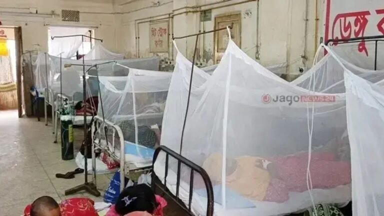 ডেঙ্গুতে মৃতের সংখ্যা বাড়ছেই, পৌঁছালো ১৪১ জনে