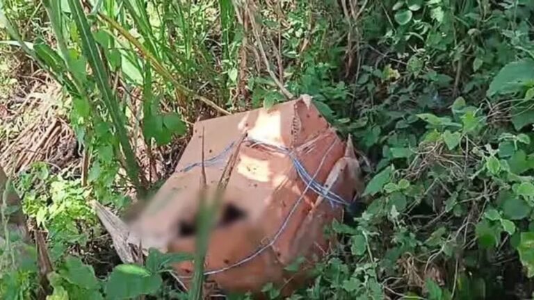 ফরিদপুরে কার্টন থেকে অজ্ঞাত ব্যক্তির ৬ টুকরো মরদেহ উদ্ধার