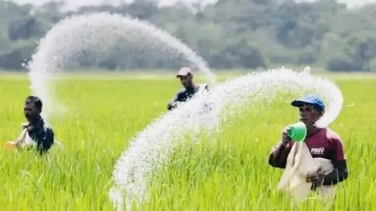 সারের কোনো সংকট নেই, ঘাটতি অভিযোগ সঠিক নয়: বাণিজ্য প্রতিমন্ত্রী