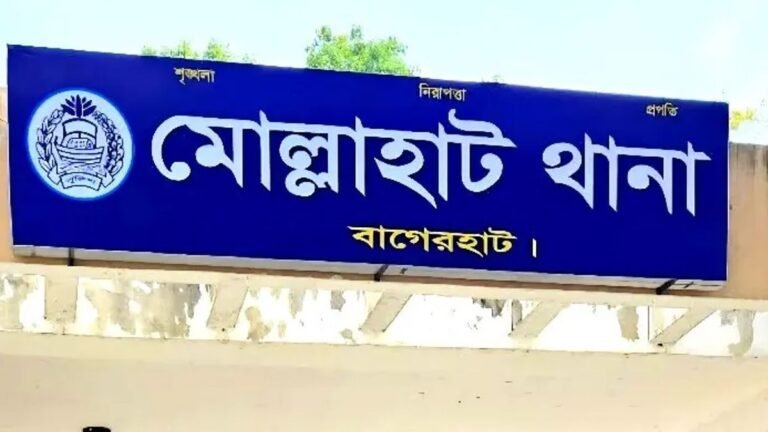 শাপলা তুলতে গিয়ে প্রাণ গেল দুই চাচাতো বোনের
