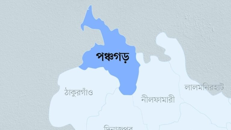 তেঁতুলিয়ায় জালে উঠে এল ১২ ফুট লম্বা অজগর
