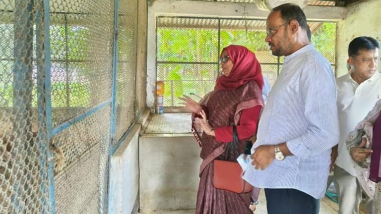 কেন্দ্রীয় মুরগি খামারে বাচ্চা উৎপাদন বাড়ানোর নির্দেশ প্রতিমন্ত্রীর