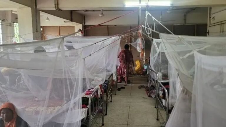 ময়মনসিংহে বাড়ছে ডেঙ্গুর দাপট, ১৩ দিনে প্রাণ গেল ৬ জনের