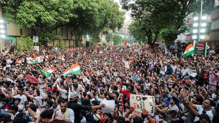 ভারতের প্রধান নির্বাচন কমিশনারের পদত্যাগ দাবিতে আন্দোলনে ককরোচ জনতা পার্টি