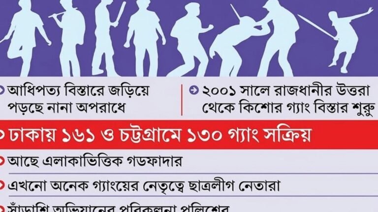 সারা দেশে ৪৫৩ কিশোর গ্যাং, দিনদিন বিস্তার বাড়ছে