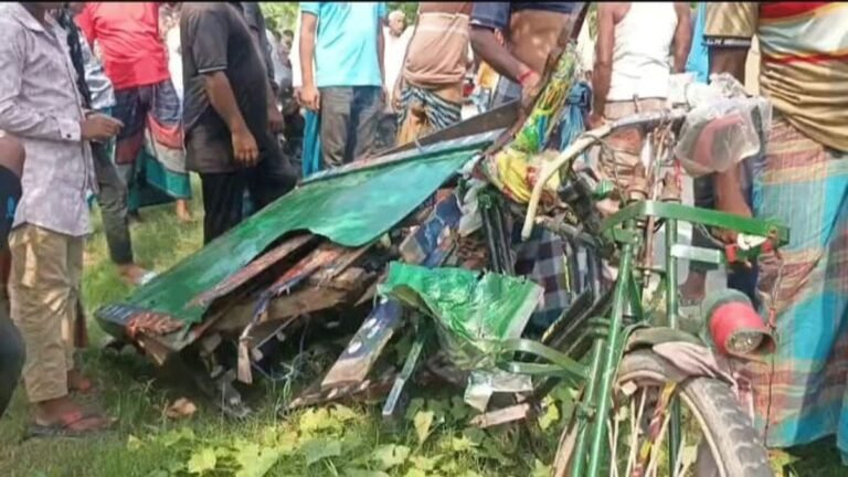 মিরপুরে বাসচাপায় নারী আরোহীসহ চালক নিহত