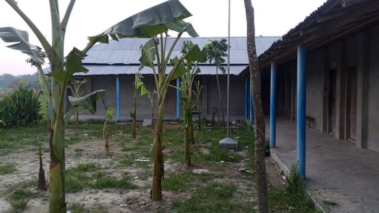 পুত্রবধূকে ‘চাকরি না দেওয়ায়’ বিদ্যালয়ে তালা দিলেন দাতা সদস্য, মাঠে লাগালেন কলাগাছ