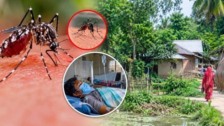 গ্রামাঞ্চলে ছড়িয়ে পড়ছে ডেঙ্গু, ঝুঁকিতে রোগীরা
