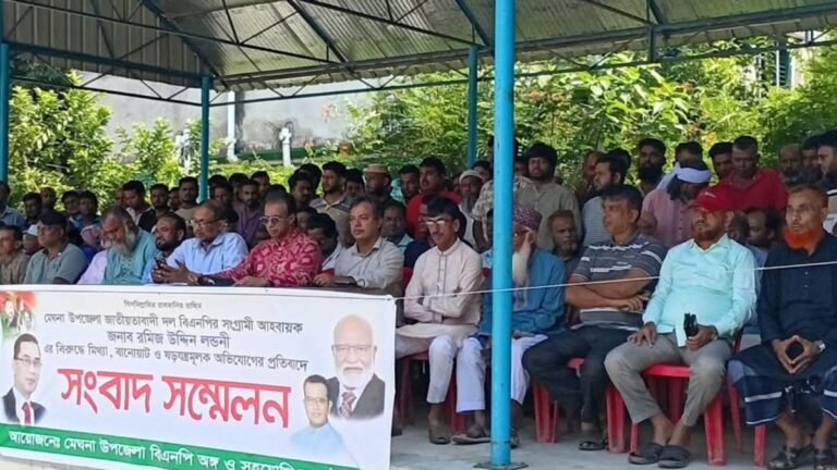 মেঘনায় মুক্তিযোদ্ধাকে লাঞ্ছিত করার অভিযোগ প্রতিবাদে বিএনপির সংবাদ সম্মেলন